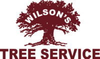 Wilson Tree Service Mobile Logo